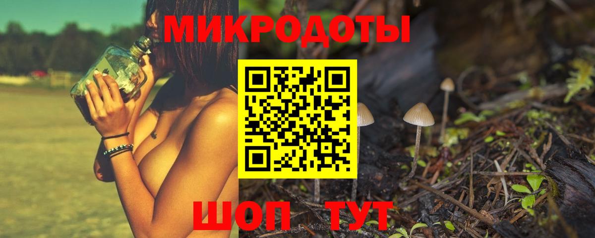 Псилоцибиновые грибы MAGIC MUSHROOMS  Галлюциногенные грибы Psilocybine cubensis  Вход с VPN  Курчалой 