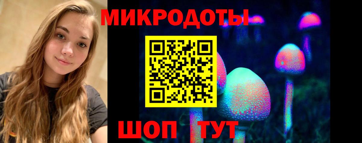 Галлюциногенные грибы мухоморы Курчалой